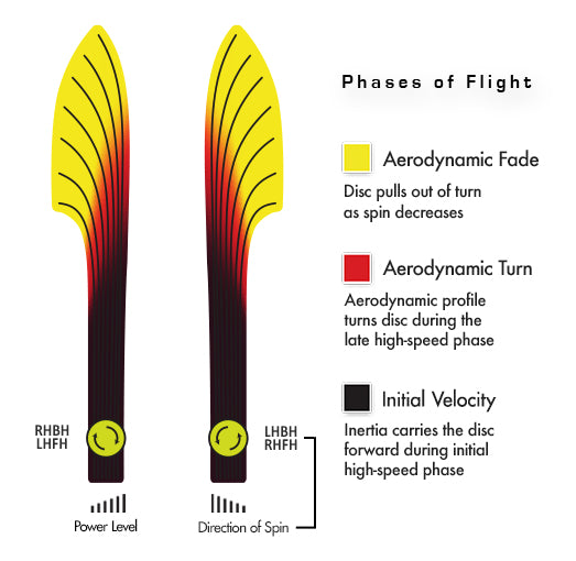 Gyropalooza 2025 Mystery Box - 17 discs!